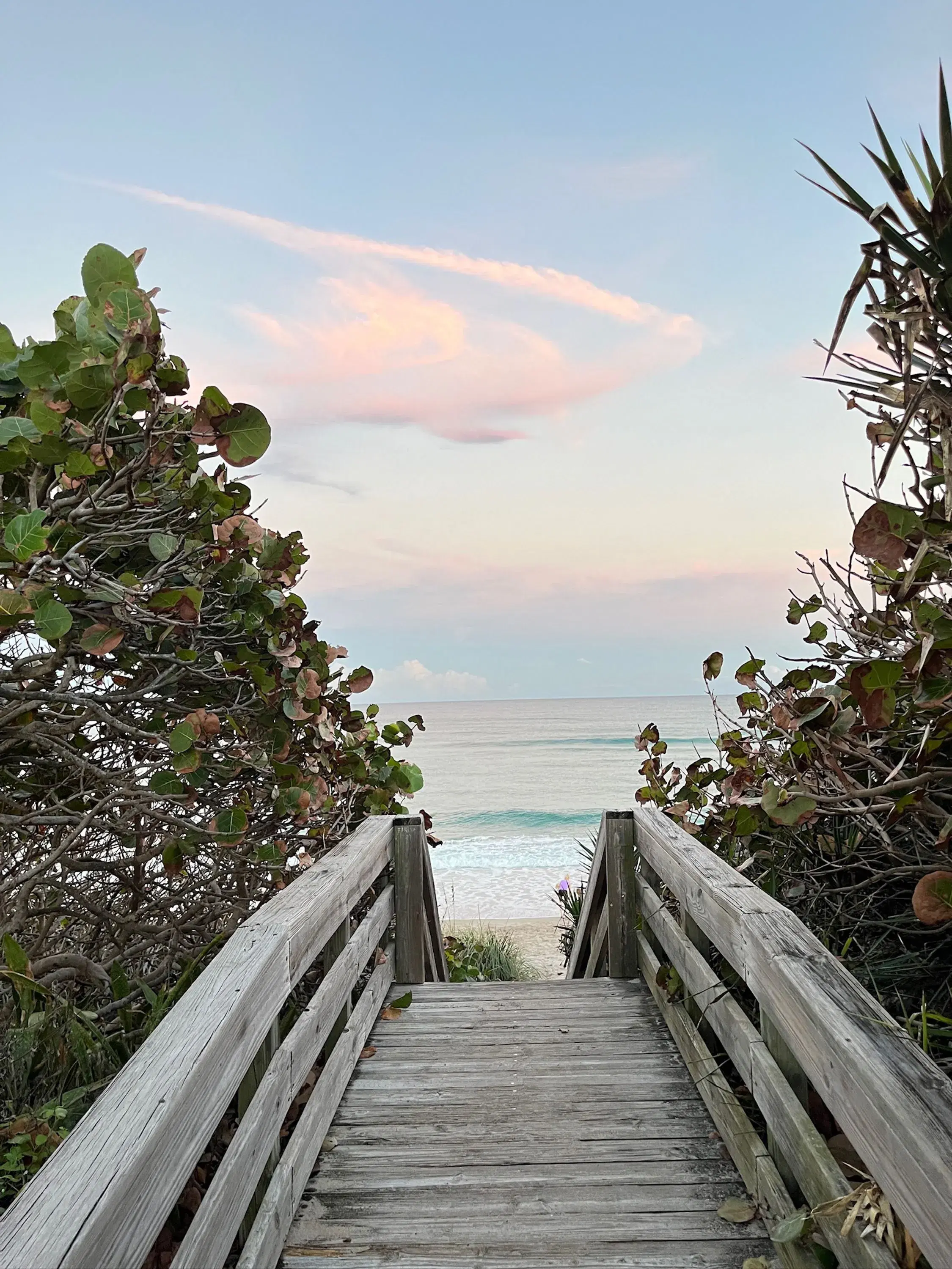 Pasarela de madera entre uvas de playa que lleva a la playa en Boca Raton