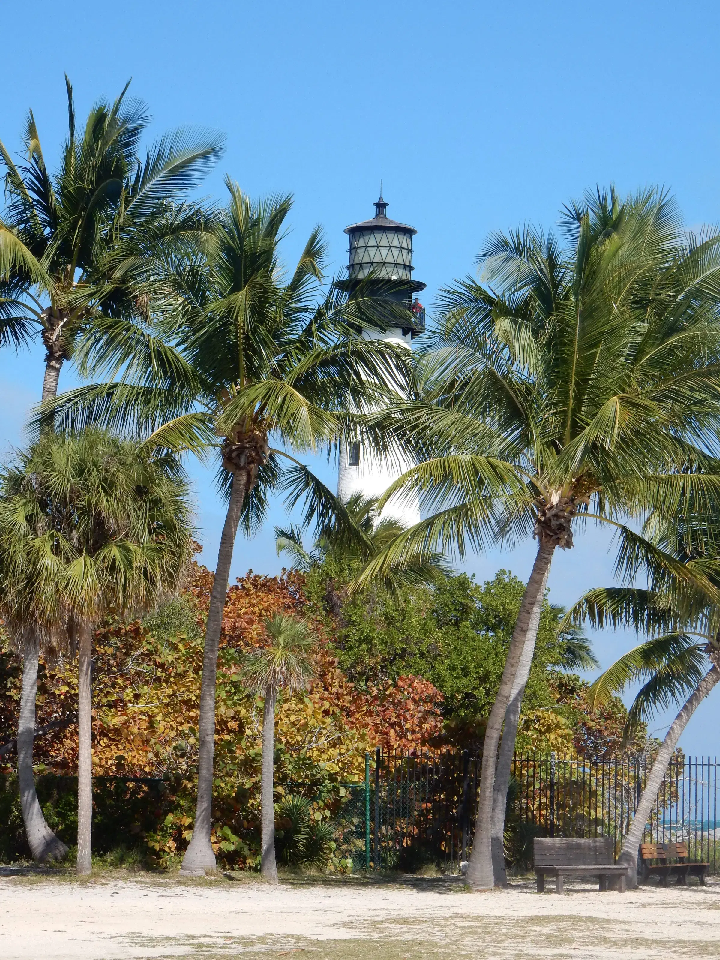 El faro de Cape Florida entre palmeras en Key Biscayne